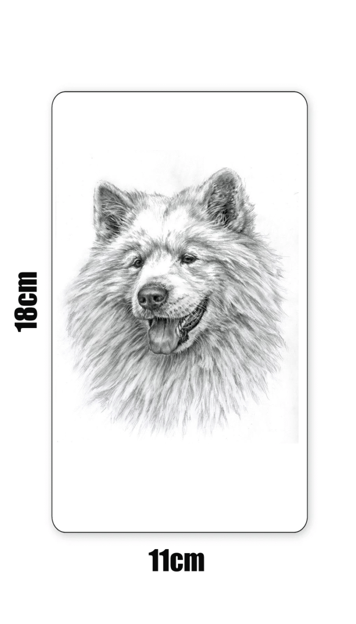 Samojed