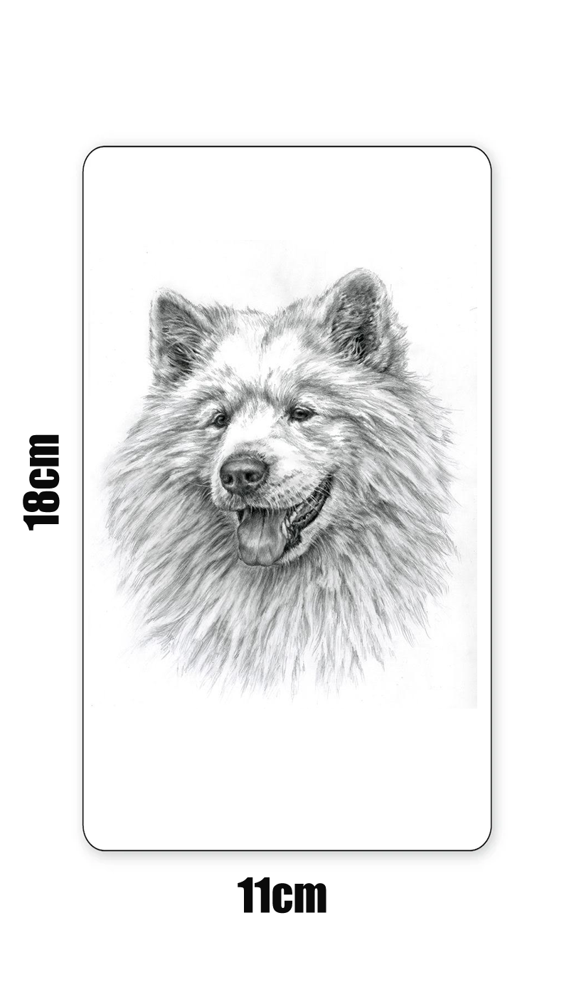 Samojed